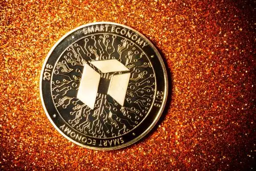 小蚁币NEO交易解析